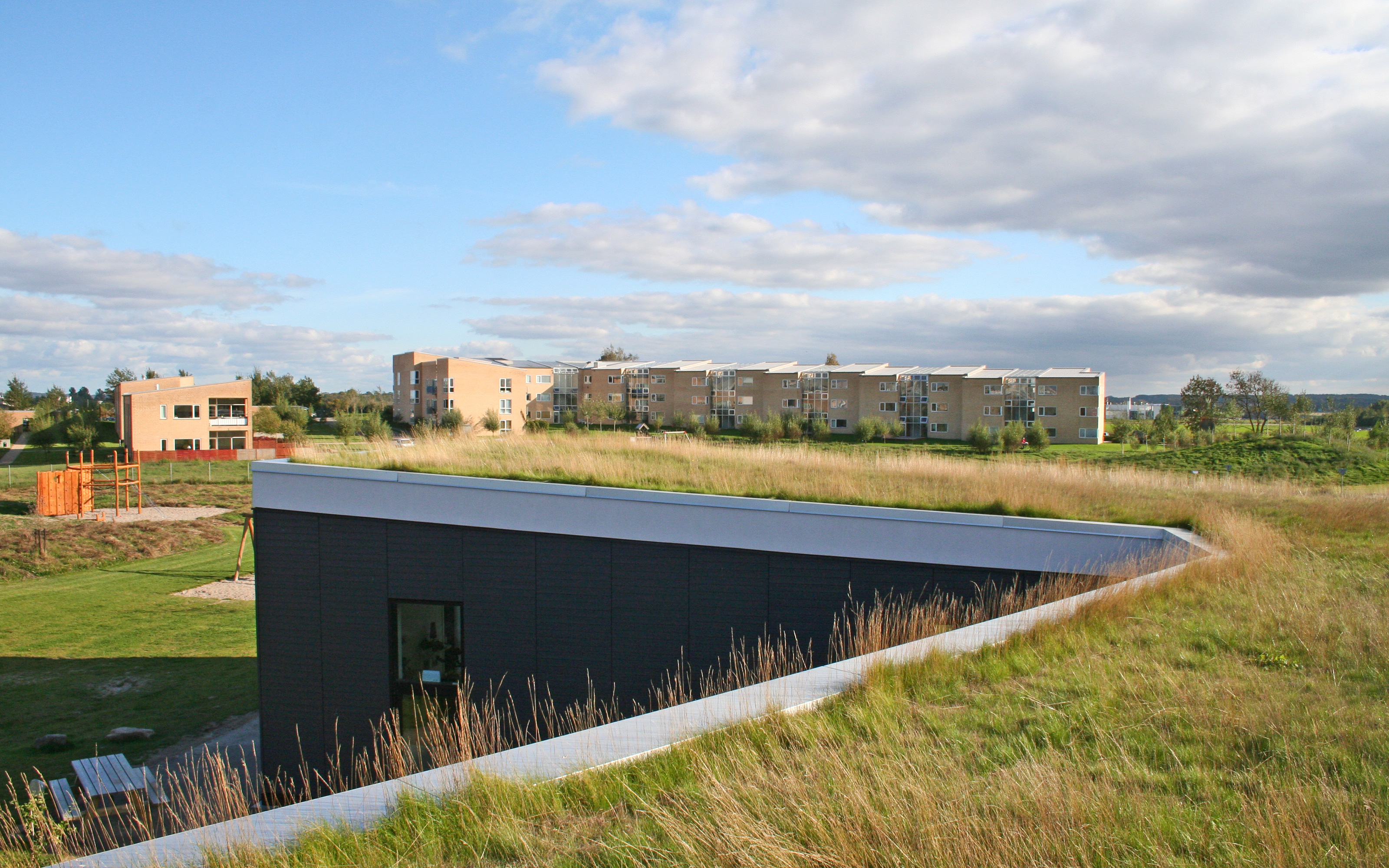 Building with a gras roof